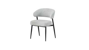 BR-25A02 Ergonomic Comfort Chair with Iron Frame for Modern Living Spaces