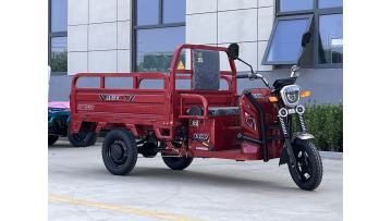 Orchard Electric Tricycle