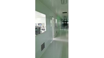 Q Switched Pulsed IR Laser