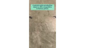 Video 69