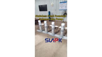 Fountain Submersible Pump