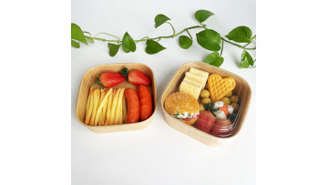 square paper tray (2)