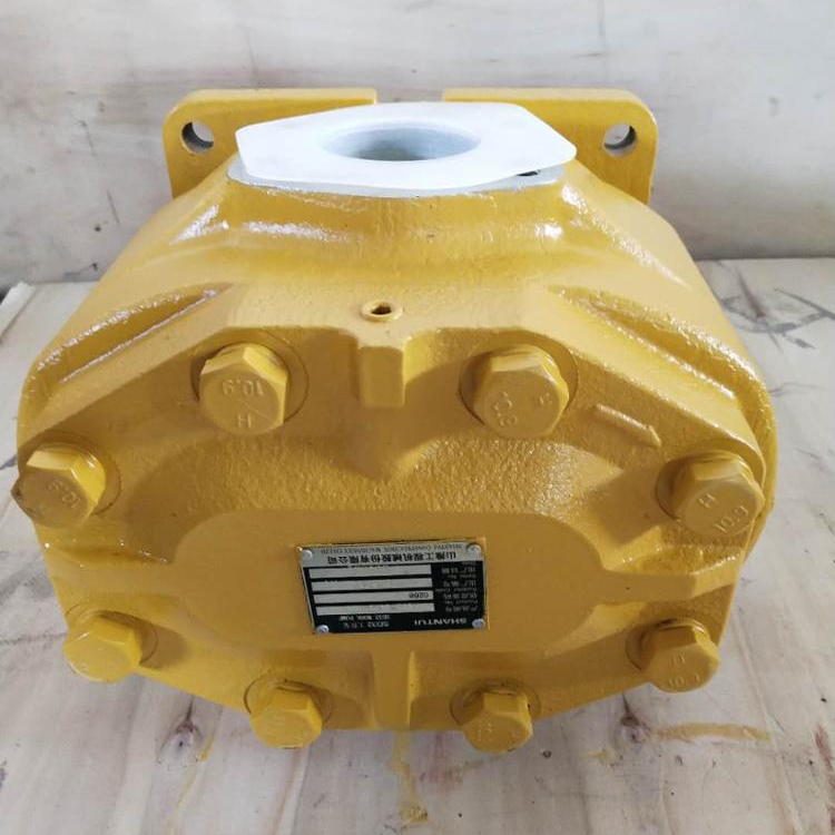 hydraulic pump 