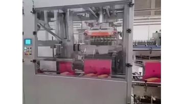 bottle sucktion type top filling case packer-20