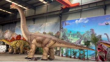 Brachiosaurus Video