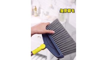 broom dustpan video