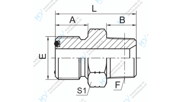 ORFS Male O-Ring NPT Male