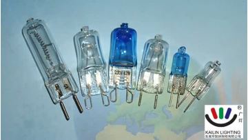 ECO G HALOGEN BULB