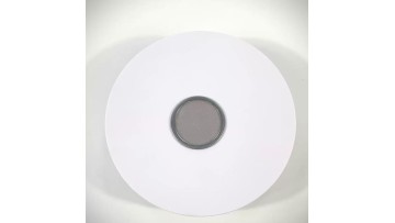 Rimmed woven mesh filter disc