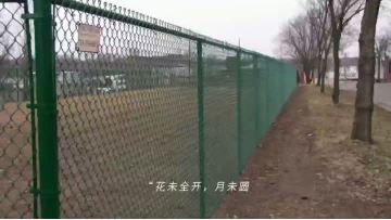 PVC coatced fencing for football