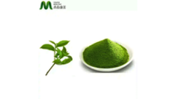 OEM Top Grade Halal Approved Matcha Powder Tea  Private Label Matcha Tea Powder1