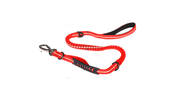 heavy duty dog leash