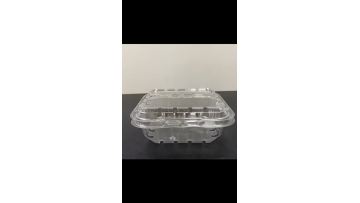 Plastic Blueberry Fruit Clamshell Packaging