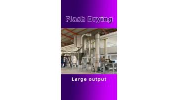 Flash dryer3
