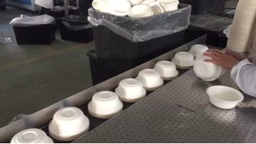 FL-5545TBH+SM-5030LX high speed side sealer for packing disposable food container
