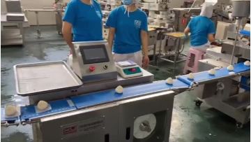 Dough Ball Conveying Machine