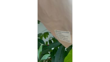 Cotton Polyester Fabric