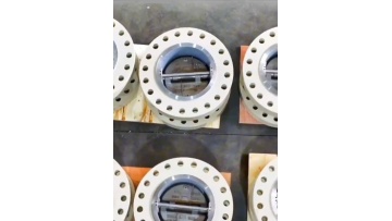 dual plate check valves