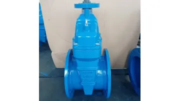Resilient Wedge Nrs Gate Valve, Flanged with Top Plate DN300 Pn101