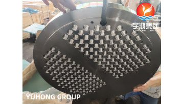 Tubesheet4 for exchanger