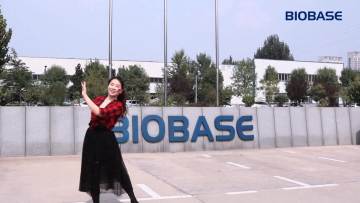 Biobase China High Quality 300mA auto switching Basic Power Supply1