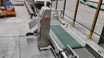 Conveyor system (Incline conveyor)
