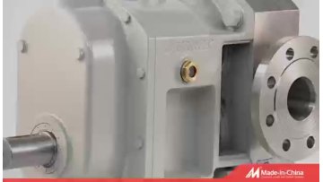 Rotary lobe pump with built-in safety valve