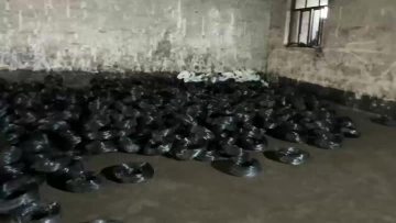 Black Annealed Galvanized Iron Wire