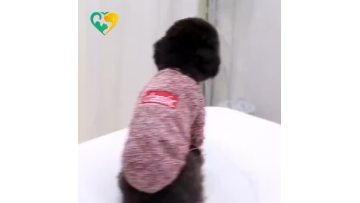 quality pet clothing