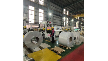 Prepainted Galvanized Steel Aluminum Stainless for Roofing Fridge