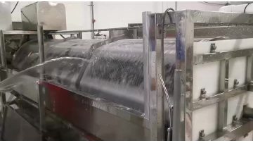 fish production line