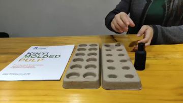 Compostable guangzhou bagasse bottle packaging molded pulp paper tray1