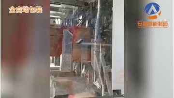 packaging  palletizing& membrane system