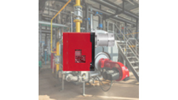Original G20 Industrial Steam Boiler Burner - Multi-Fuel Diesel Oil Burner Manufacturer1