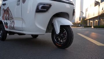 Passenger Electric Trike