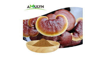 Ganoderma lucidum extract