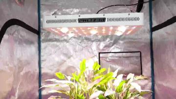 2530 Cree COB Led Grow Light