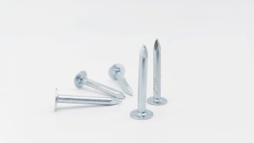 C1022 Zinc Plated Roofing Nail Finishing Nail Self tapping Screw Flat Head Nail1
