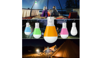 USB rechargeable LED emergency bulb