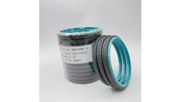 Excavator oil cylinder dustproof seals DKBI SRD