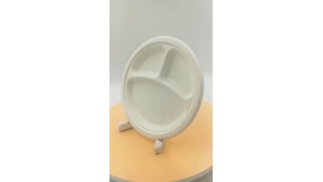 UYP009biodegradable plate