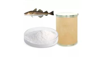 Hydrolyzed collagen