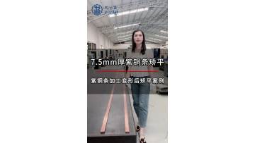 7.5mm Thick Purple Copper Strip leveling case