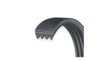 PK Ribbed Belt 1