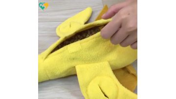 dog toy
