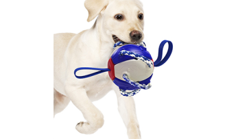 dog toys amazon