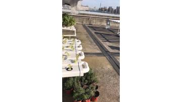 Tile Hydroponics