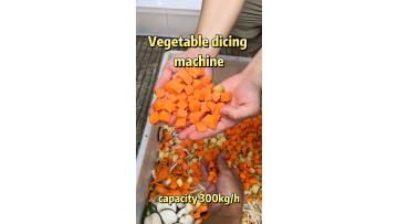 Vegetable dicing machine