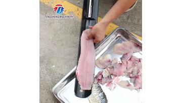 TS-XQ100 Automatic Commercial Fish Filleting Machine