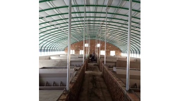  Single Greenhouse For Poultry Breeding 